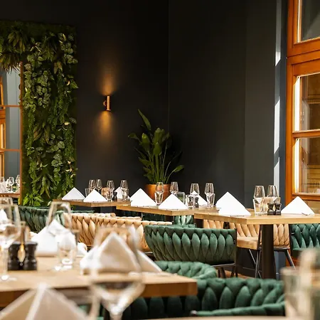 Der Waldkater Rinteln