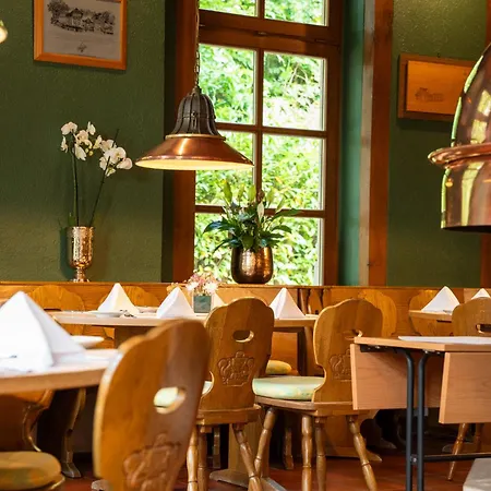 Der Waldkater Rinteln