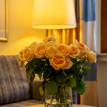 Der Waldkater 4* Rinteln